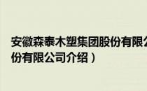 安徽森泰木塑集团股份有限公司（关于安徽森泰木塑集团股份有限公司介绍）