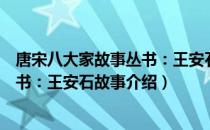 唐宋八大家故事丛书：王安石故事（关于唐宋八大家故事丛书：王安石故事介绍）