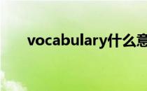 vocabulary什么意思中文意思是什么