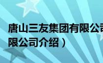 唐山三友集团有限公司（关于唐山三友集团有限公司介绍）