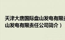 天津大唐国际盘山发电有限责任公司（关于天津大唐国际盘山发电有限责任公司简介）