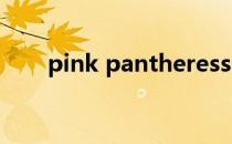 pink pantheress（pink panther）