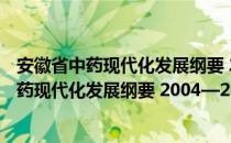 安徽省中药现代化发展纲要 2004—2010年（关于安徽省中药现代化发展纲要 2004—2010年介绍）