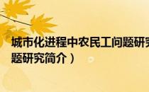 城市化进程中农民工问题研究（关于城市化进程中农民工问题研究简介）