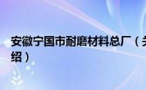 安徽宁国市耐磨材料总厂（关于安徽宁国市耐磨材料总厂介绍）