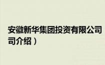 安徽新华集团投资有限公司（关于安徽新华集团投资有限公司介绍）