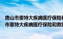 唐山市重特大疾病医疗保险和救助制度实施办法（关于唐山市重特大疾病医疗保险和救助制度实施办法介绍）