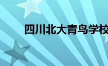 四川北大青鸟学校（四川北大青鸟）