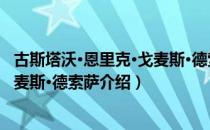 古斯塔沃·恩里克·戈麦斯·德索萨（关于古斯塔沃·恩里克·戈麦斯·德索萨介绍）