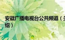 安徽广播电视台公共频道（关于安徽广播电视台公共频道介绍）