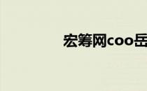 宏筹网coo岳灵（宏筹网）