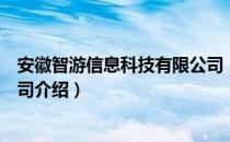 安徽智游信息科技有限公司（关于安徽智游信息科技有限公司介绍）