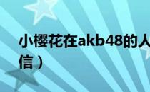 小樱花在akb48的人气（akb48来自樱花的信）