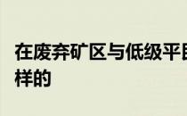 在废弃矿区与低级平民作战的阵容和风格是怎样的 