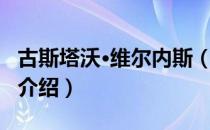 古斯塔沃·维尔内斯（关于古斯塔沃·维尔内斯介绍）