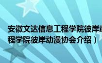 安徽文达信息工程学院彼岸动漫协会（关于安徽文达信息工程学院彼岸动漫协会介绍）