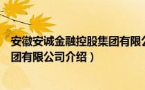 安徽安诚金融控股集团有限公司（关于安徽安诚金融控股集团有限公司介绍）