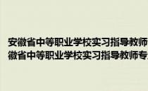 安徽省中等职业学校实习指导教师专业技术资格标准条件 试行（关于安徽省中等职业学校实习指导教师专业技术资格标准条件 试行介绍）