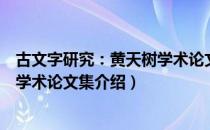 古文字研究：黄天树学术论文集（关于古文字研究：黄天树学术论文集介绍）