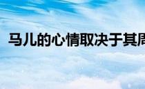 马儿的心情取决于其周围环境及人类的情绪