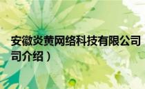 安徽炎黄网络科技有限公司（关于安徽炎黄网络科技有限公司介绍）