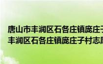 唐山市丰润区石各庄镇庞庄子村志愿服务小队（关于唐山市丰润区石各庄镇庞庄子村志愿服务小队介绍）