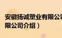 安徽扬诚塑业有限公司（关于安徽扬诚塑业有限公司介绍）