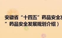 安徽省“十四五”药品安全发展规划（关于安徽省“十四五”药品安全发展规划介绍）