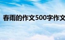 春雨的作文500字作文（春雨的作文500字）