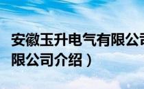 安徽玉升电气有限公司（关于安徽玉升电气有限公司介绍）