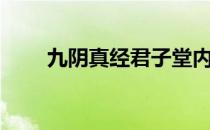 九阴真经君子堂内应（君子堂内应）