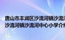 唐山市丰润区沙流河镇沙流河中心小学（关于唐山市丰润区沙流河镇沙流河中心小学介绍）