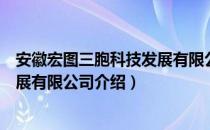 安徽宏图三胞科技发展有限公司（关于安徽宏图三胞科技发展有限公司介绍）