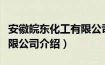 安徽皖东化工有限公司（关于安徽皖东化工有限公司介绍）