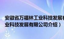 安徽省万福林工业科技发展有限公司（关于安徽省万福林工业科技发展有限公司介绍）