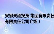 安徽灵通投资 集团有限责任公司（关于安徽灵通投资 集团有限责任公司介绍）