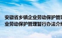 安徽省乡镇企业劳动保护管理暂行办法（关于安徽省乡镇企业劳动保护管理暂行办法介绍）