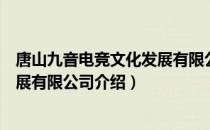 唐山九音电竞文化发展有限公司（关于唐山九音电竞文化发展有限公司介绍）