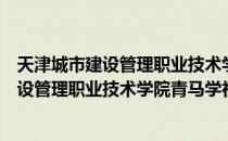 天津城市建设管理职业技术学院青马学社（关于天津城市建设管理职业技术学院青马学社简介）