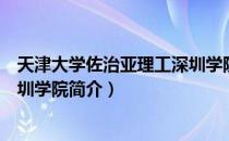 天津大学佐治亚理工深圳学院（关于天津大学佐治亚理工深圳学院简介）