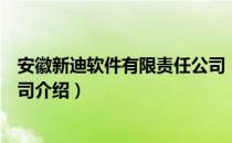 安徽新迪软件有限责任公司（关于安徽新迪软件有限责任公司介绍）