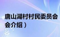 唐山湖村村民委员会（关于唐山湖村村民委员会介绍）