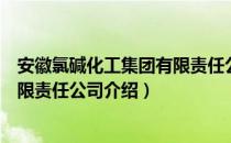 安徽氯碱化工集团有限责任公司（关于安徽氯碱化工集团有限责任公司介绍）