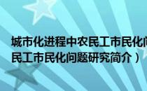 城市化进程中农民工市民化问题研究（关于城市化进程中农民工市民化问题研究简介）