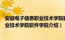 安徽电子信息职业技术学院软件学院（关于安徽电子信息职业技术学院软件学院介绍）