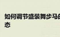 如何调节盛装舞步马的机体来达到最佳表演状态