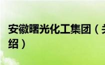 安徽曙光化工集团（关于安徽曙光化工集团介绍）