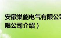 安徽巢能电气有限公司（关于安徽巢能电气有限公司介绍）