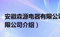 安徽森源电器有限公司（关于安徽森源电器有限公司介绍）