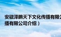 安徽泽鹏天下文化传播有限公司（关于安徽泽鹏天下文化传播有限公司介绍）